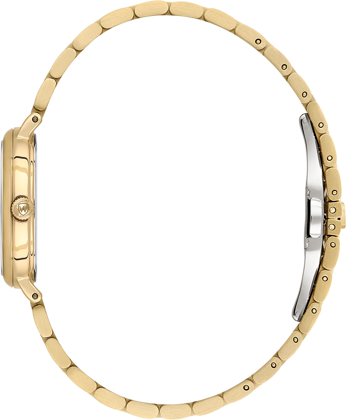 Wainer WA.18130-D Kadın Kol Saati